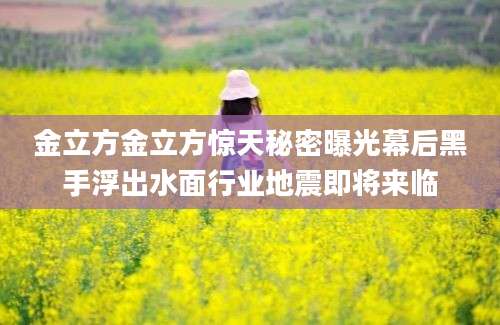 金立方金立方惊天秘密曝光幕后黑手浮出水面行业地震即将来临