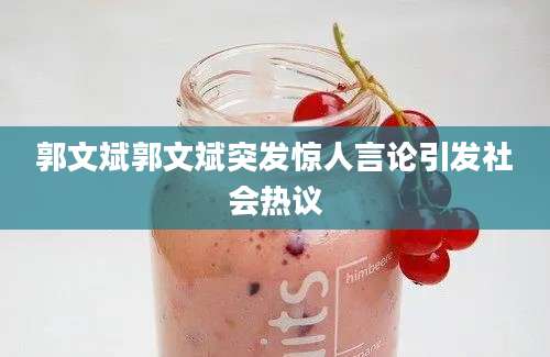 郭文斌郭文斌突发惊人言论引发社会热议