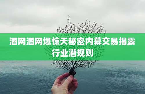 酒网酒网爆惊天秘密内幕交易揭露行业潜规则
