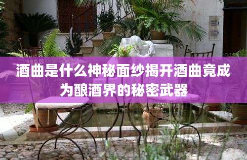 酒曲是什么神秘面纱揭开酒曲竟成为酿酒界的秘密武器