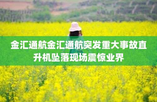 金汇通航金汇通航突发重大事故直升机坠落现场震惊业界