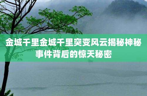 金城千里金城千里突变风云揭秘神秘事件背后的惊天秘密