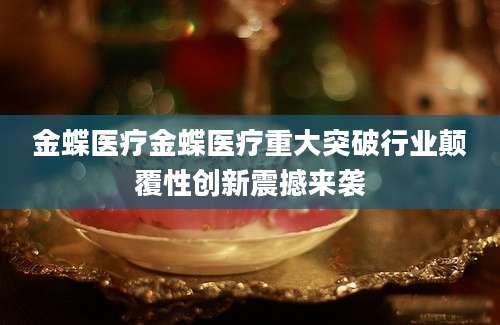 金蝶医疗金蝶医疗重大突破行业颠覆性创新震撼来袭