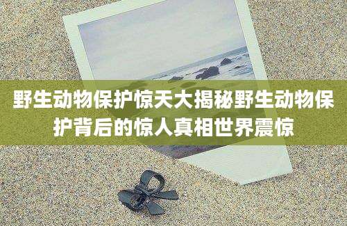 野生动物保护惊天大揭秘野生动物保护背后的惊人真相世界震惊