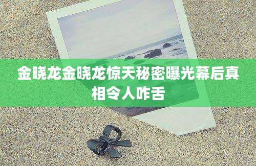 金晓龙金晓龙惊天秘密曝光幕后真相令人咋舌