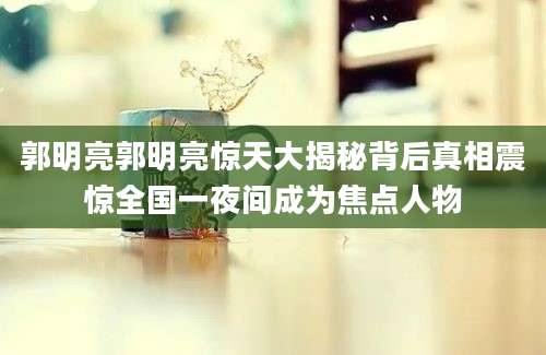 郭明亮郭明亮惊天大揭秘背后真相震惊全国一夜间成为焦点人物