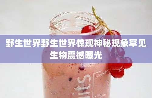 野生世界野生世界惊现神秘现象罕见生物震撼曝光