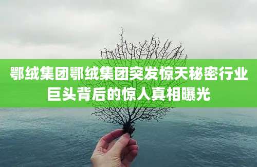 鄂绒集团鄂绒集团突发惊天秘密行业巨头背后的惊人真相曝光