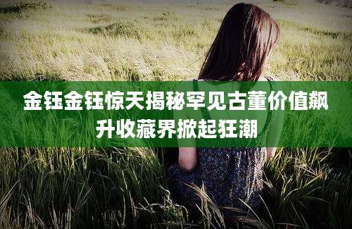 金钰金钰惊天揭秘罕见古董价值飙升收藏界掀起狂潮