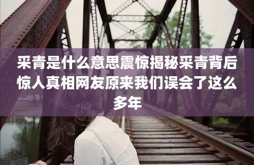 采青是什么意思震惊揭秘采青背后惊人真相网友原来我们误会了这么多年