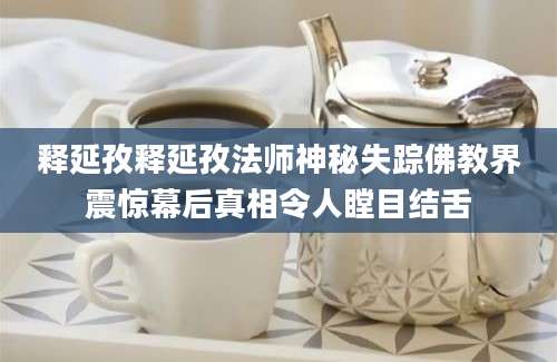 释延孜释延孜法师神秘失踪佛教界震惊幕后真相令人瞠目结舌