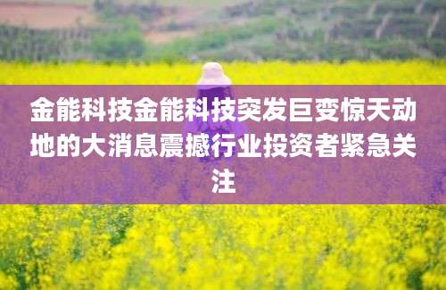 金能科技金能科技突发巨变惊天动地的大消息震撼行业投资者紧急关注