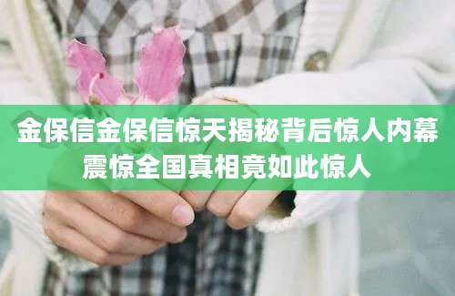 金保信金保信惊天揭秘背后惊人内幕震惊全国真相竟如此惊人